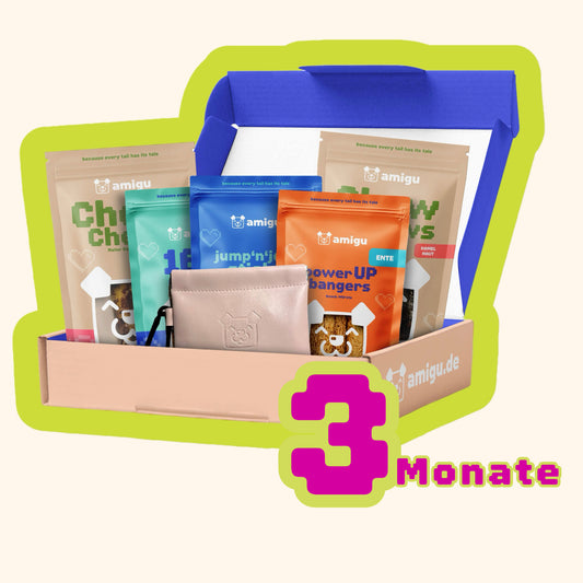 3 month subscription - Snack Box