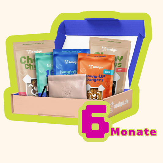 6 Monats Abo - Snack Box