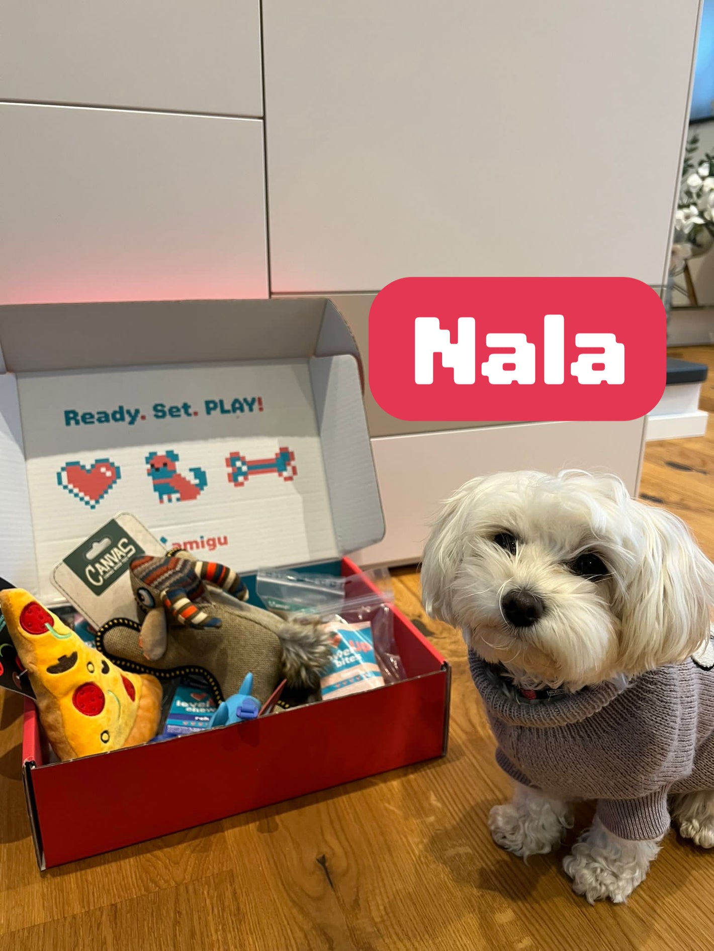Hunde-Überraschungsbox-Nala
