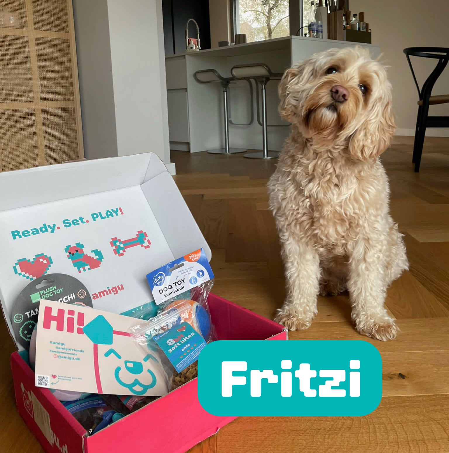 Hunde-Überraschungsbox-Fritzi